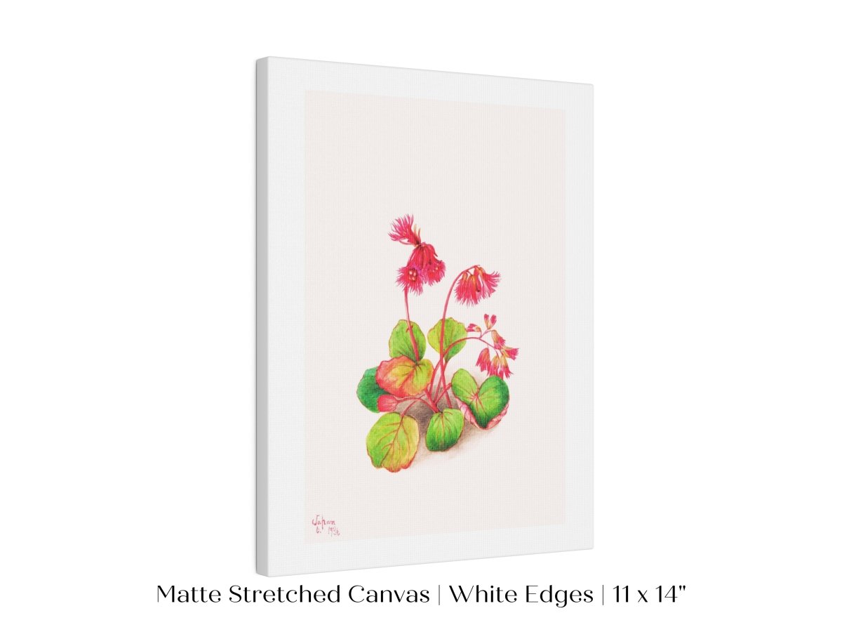 Iwakagami Illustration | P164 - Single Art Prints - Piccolo Fiore Prints