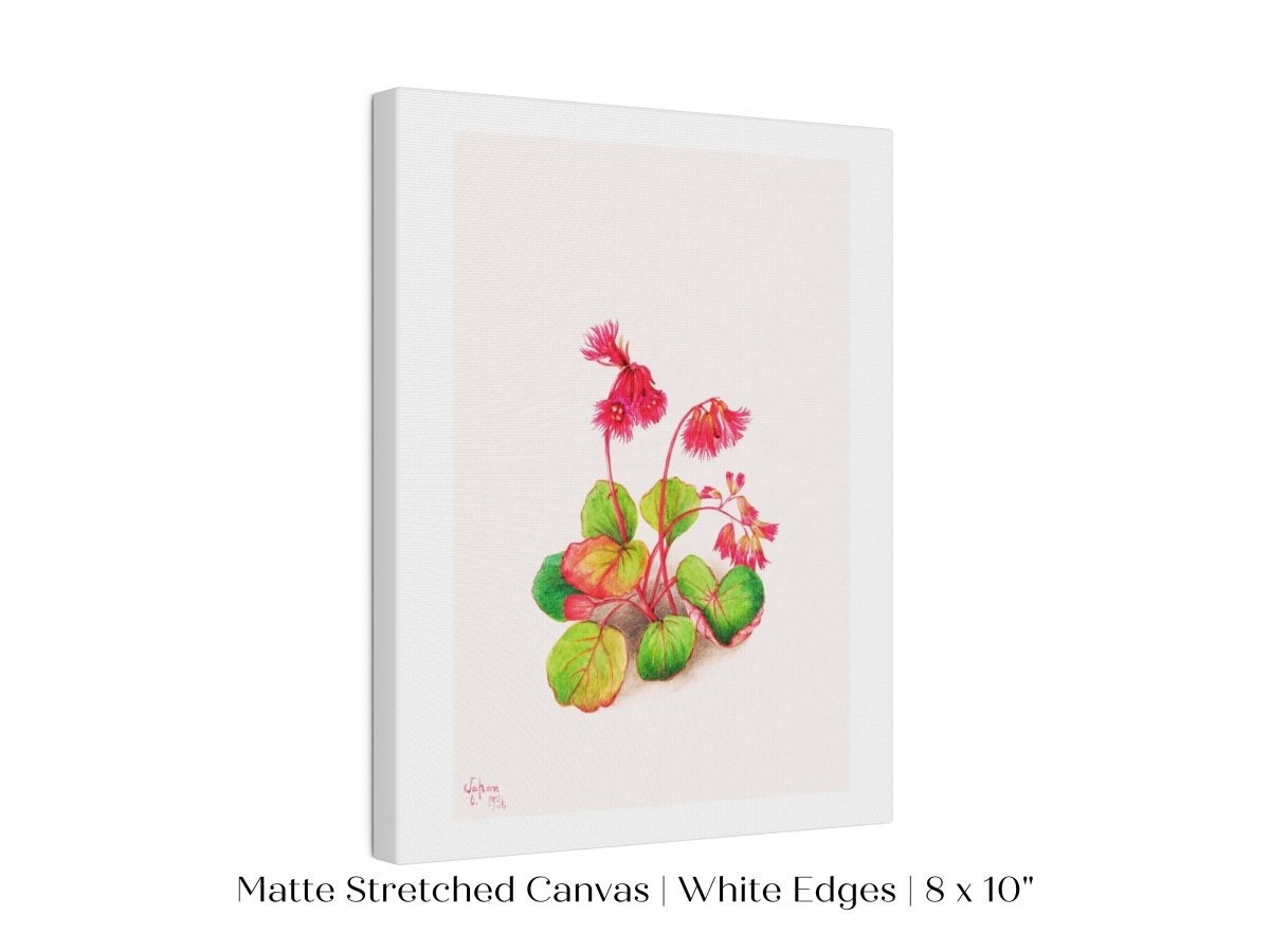 Iwakagami Illustration | P164 - Single Art Prints - Piccolo Fiore Prints
