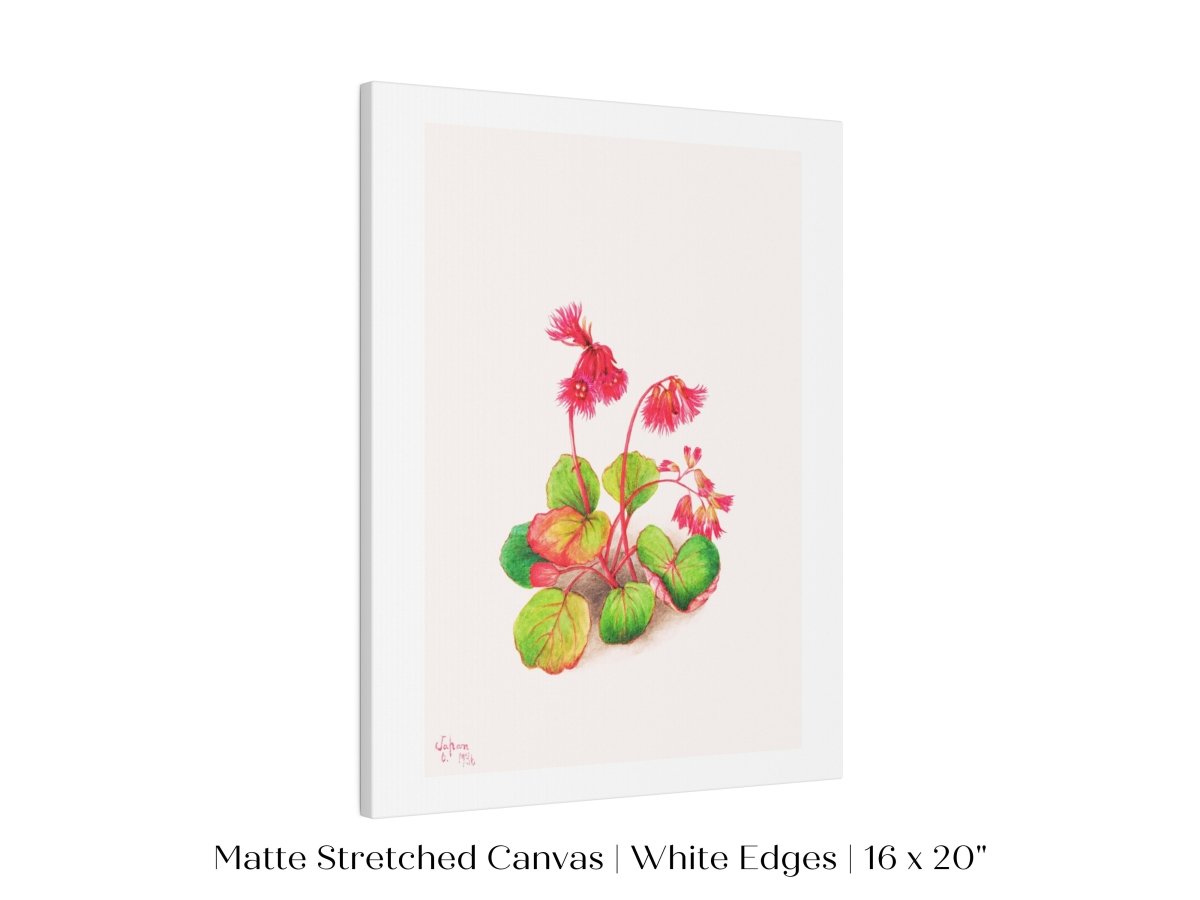 Iwakagami Illustration | P164 - Single Art Prints - Piccolo Fiore Prints