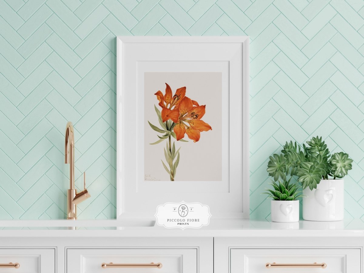 Lily Illustration | P88 - Single Art Prints - Piccolo Fiore Prints