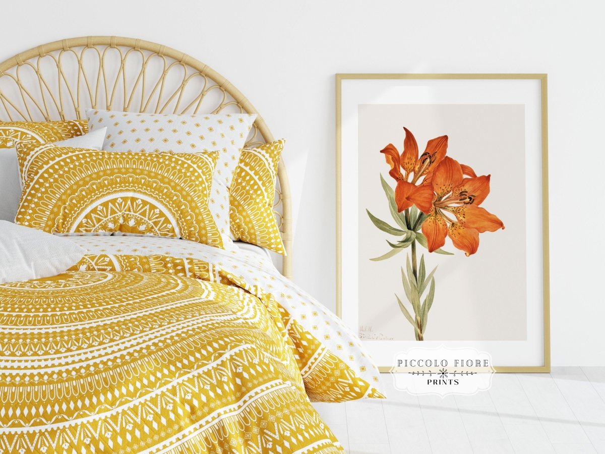 Lily Illustration | P88 - Single Art Prints - Piccolo Fiore Prints