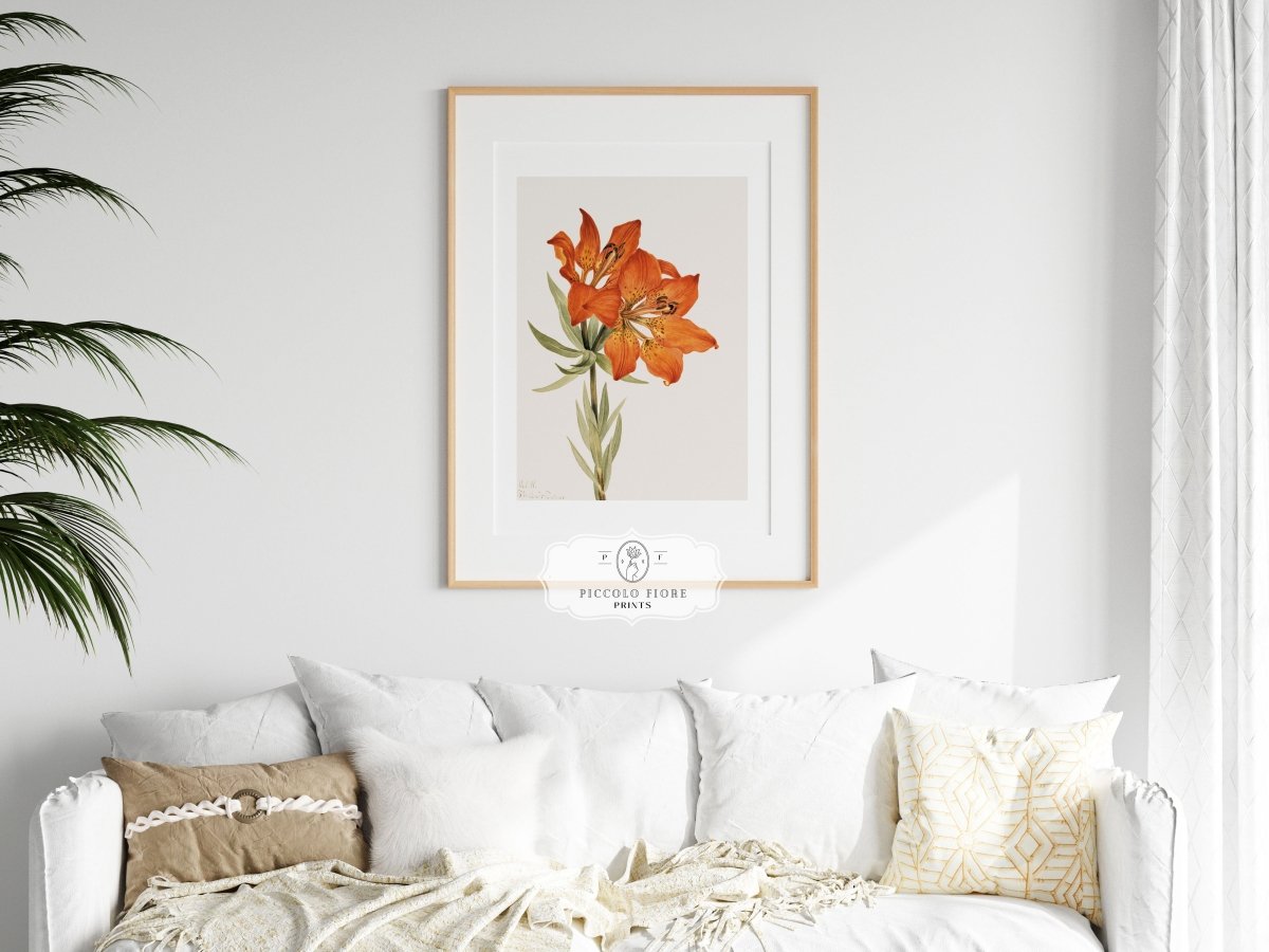 Lily Illustration | P88 - Single Art Prints - Piccolo Fiore Prints