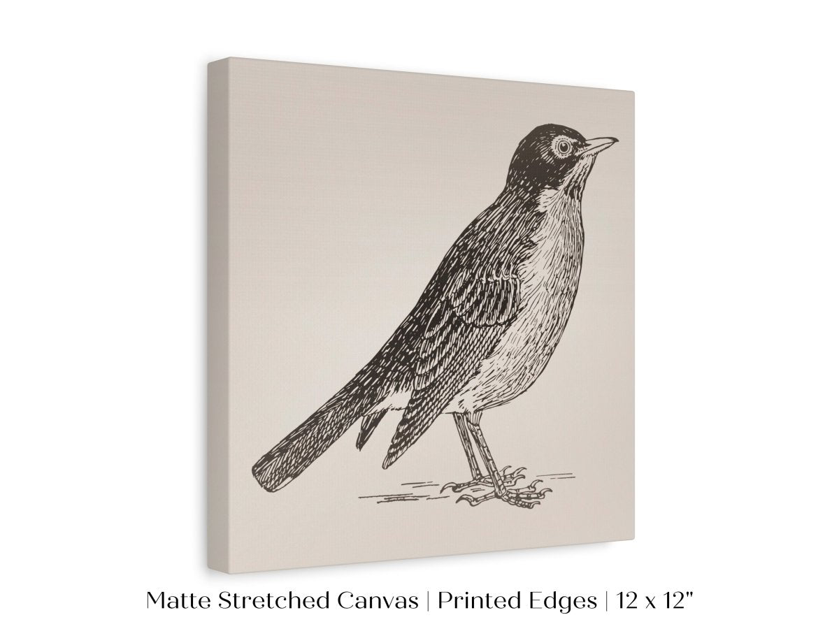 Little Robin | P387 - Single Square Art Prints - Piccolo Fiore Prints
