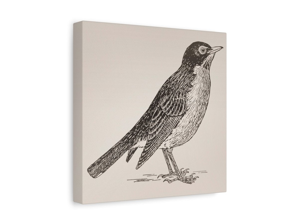 Little Robin | P387 - Single Square Art Prints - Piccolo Fiore Prints