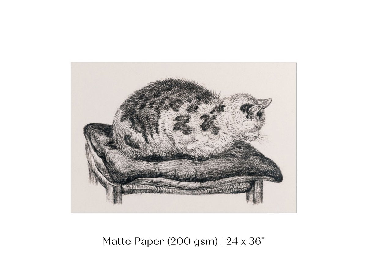 Lying Cat on a Pillow | P216 - Single Art Prints - Piccolo Fiore Prints