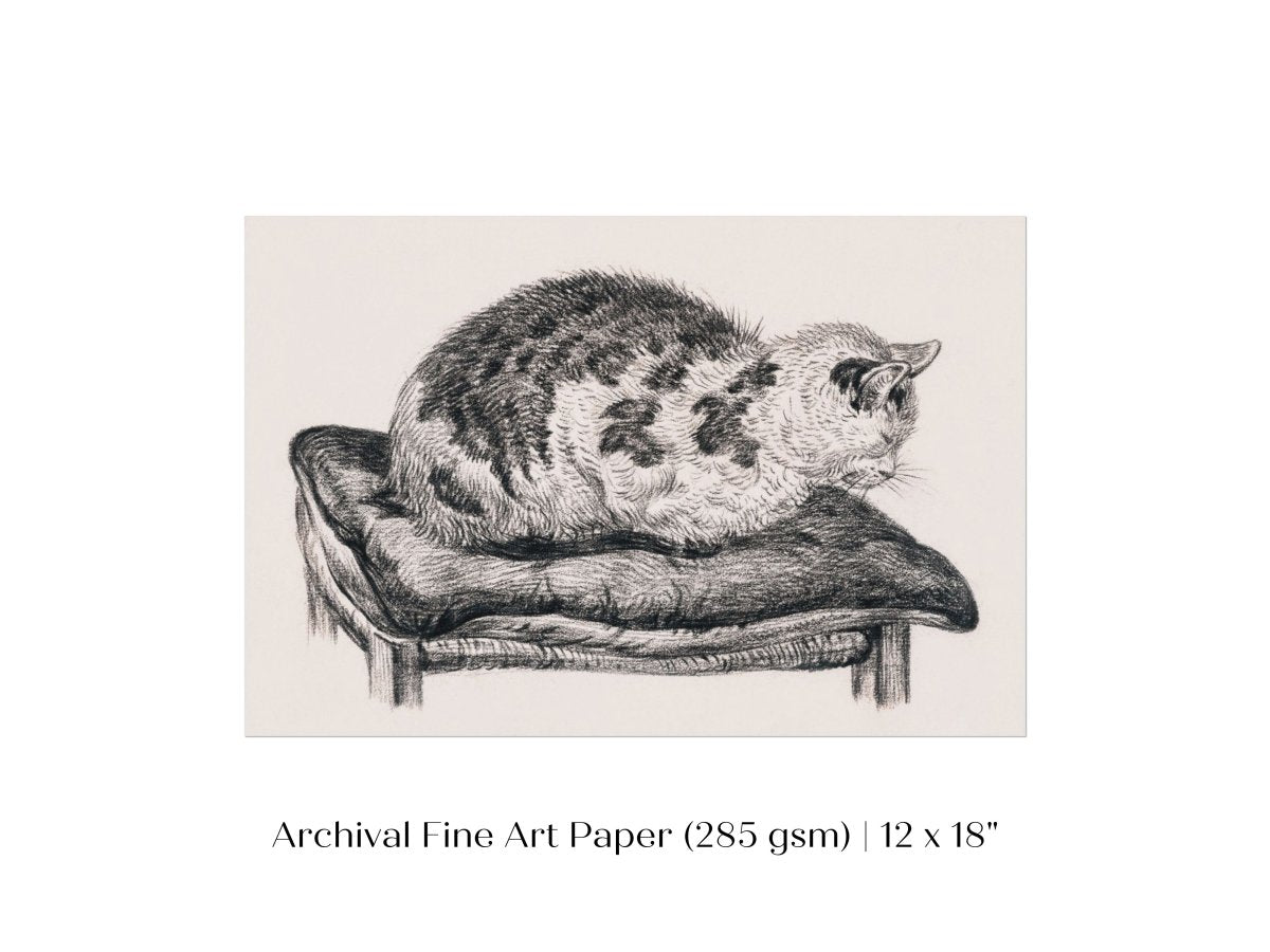 Lying Cat on a Pillow | P216 - Single Art Prints - Piccolo Fiore Prints