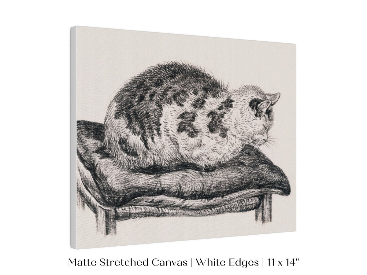 Lying Cat on a Pillow | P216 - Single Art Prints - Piccolo Fiore Prints