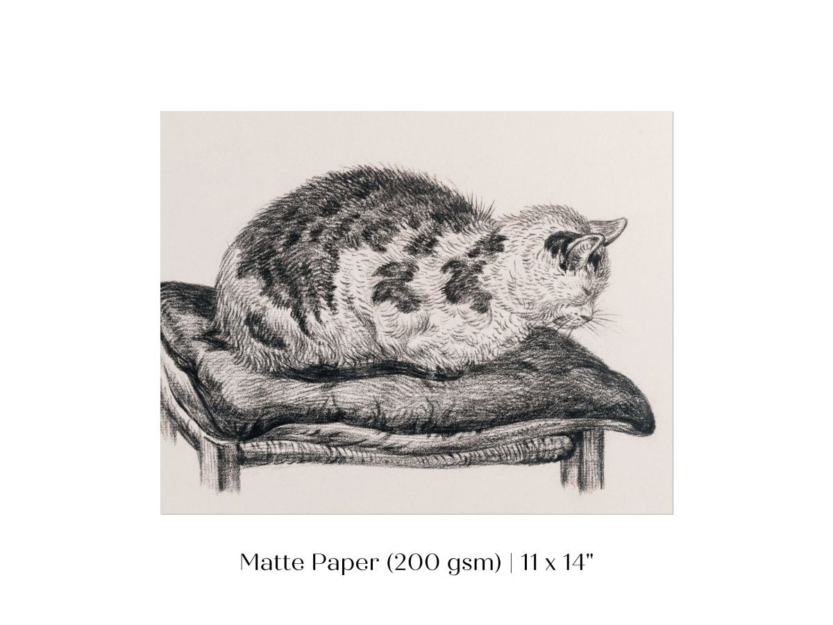 Lying Cat on a Pillow | P216 - Single Art Prints - Piccolo Fiore Prints