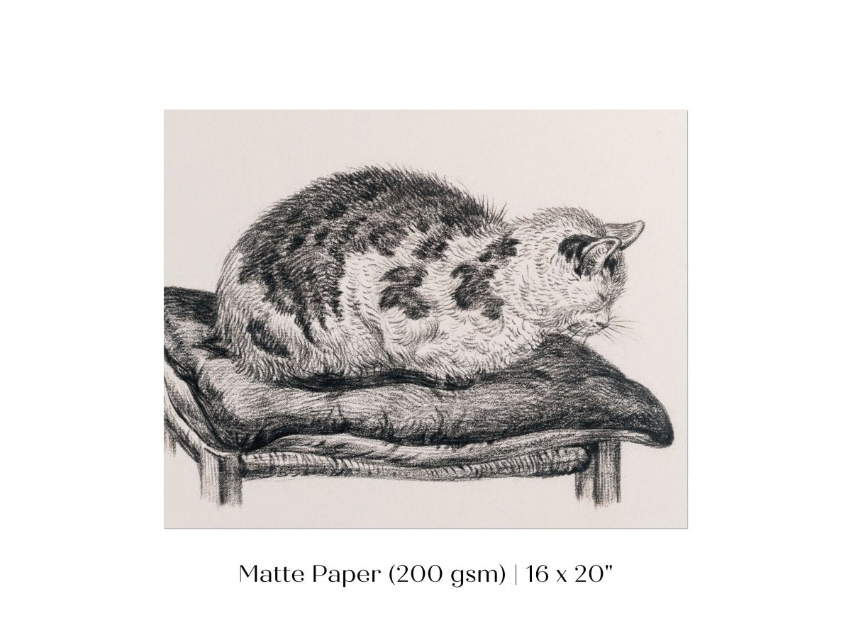 Lying Cat on a Pillow | P216 - Single Art Prints - Piccolo Fiore Prints