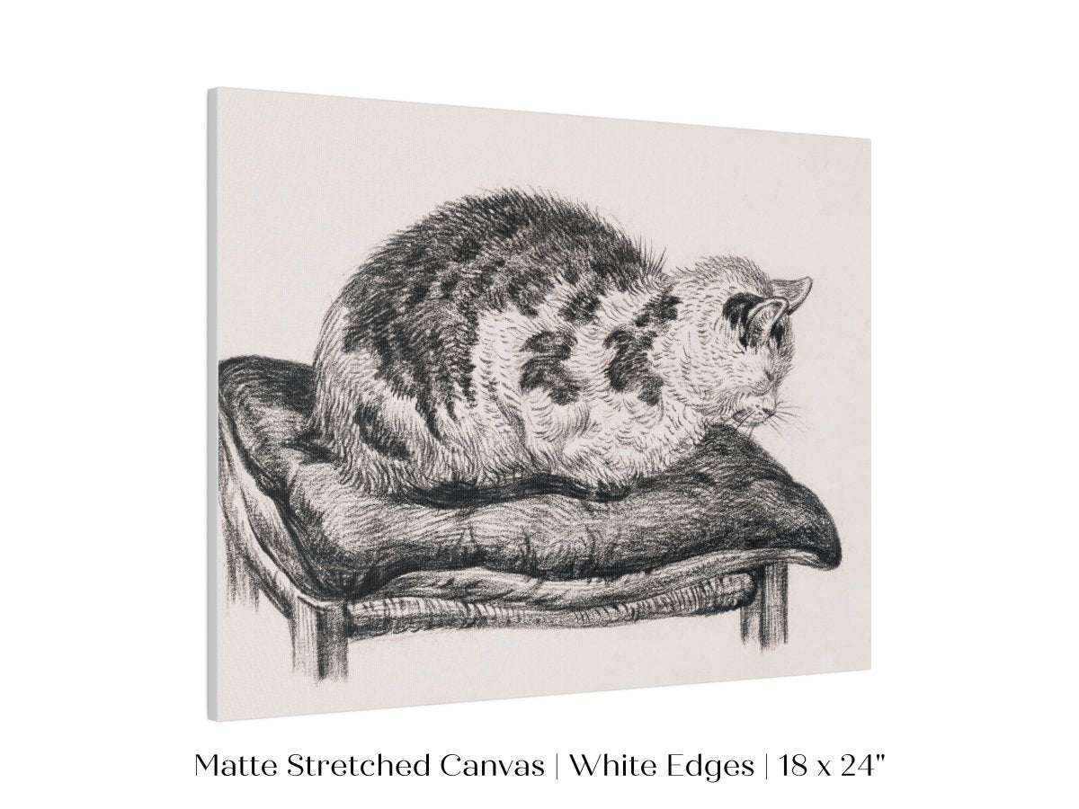 Lying Cat on a Pillow | P216 - Single Art Prints - Piccolo Fiore Prints