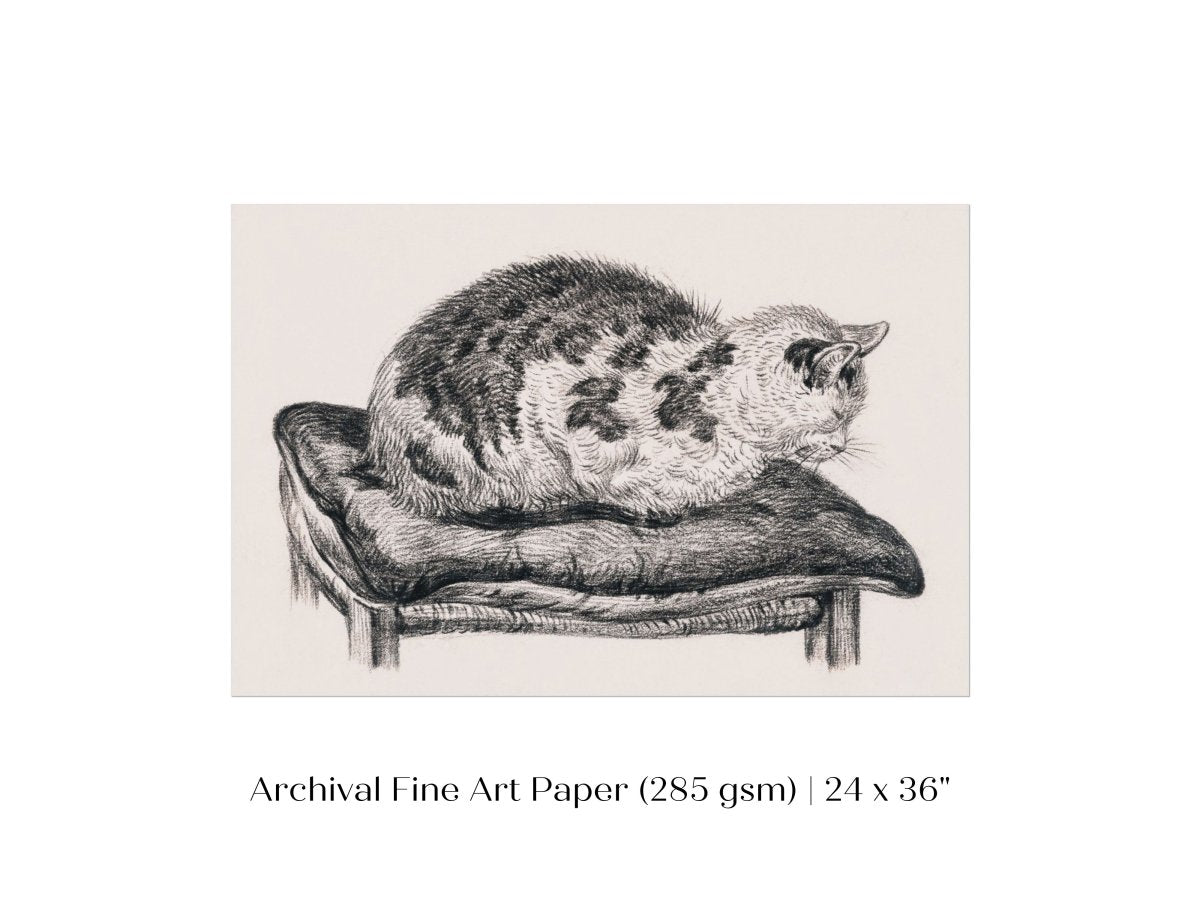Lying Cat on a Pillow | P216 - Single Art Prints - Piccolo Fiore Prints