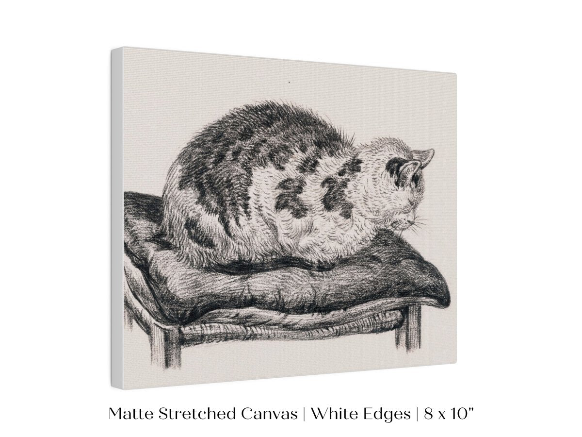 Lying Cat on a Pillow | P216 - Single Art Prints - Piccolo Fiore Prints
