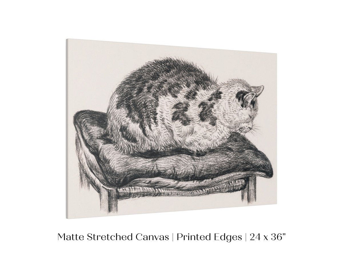 Lying Cat on a Pillow | P216 - Single Art Prints - Piccolo Fiore Prints