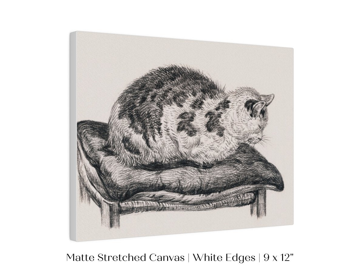 Lying Cat on a Pillow | P216 - Single Art Prints - Piccolo Fiore Prints