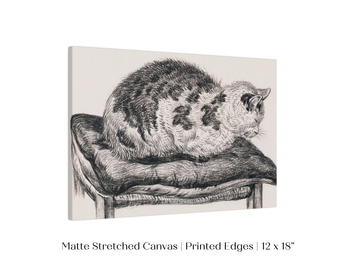 Lying Cat on a Pillow | P216 - Single Art Prints - Piccolo Fiore Prints
