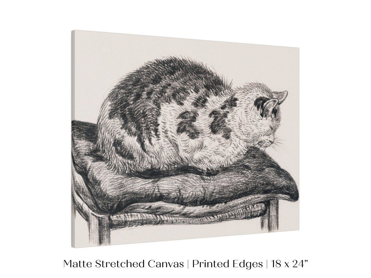 Lying Cat on a Pillow | P216 - Single Art Prints - Piccolo Fiore Prints