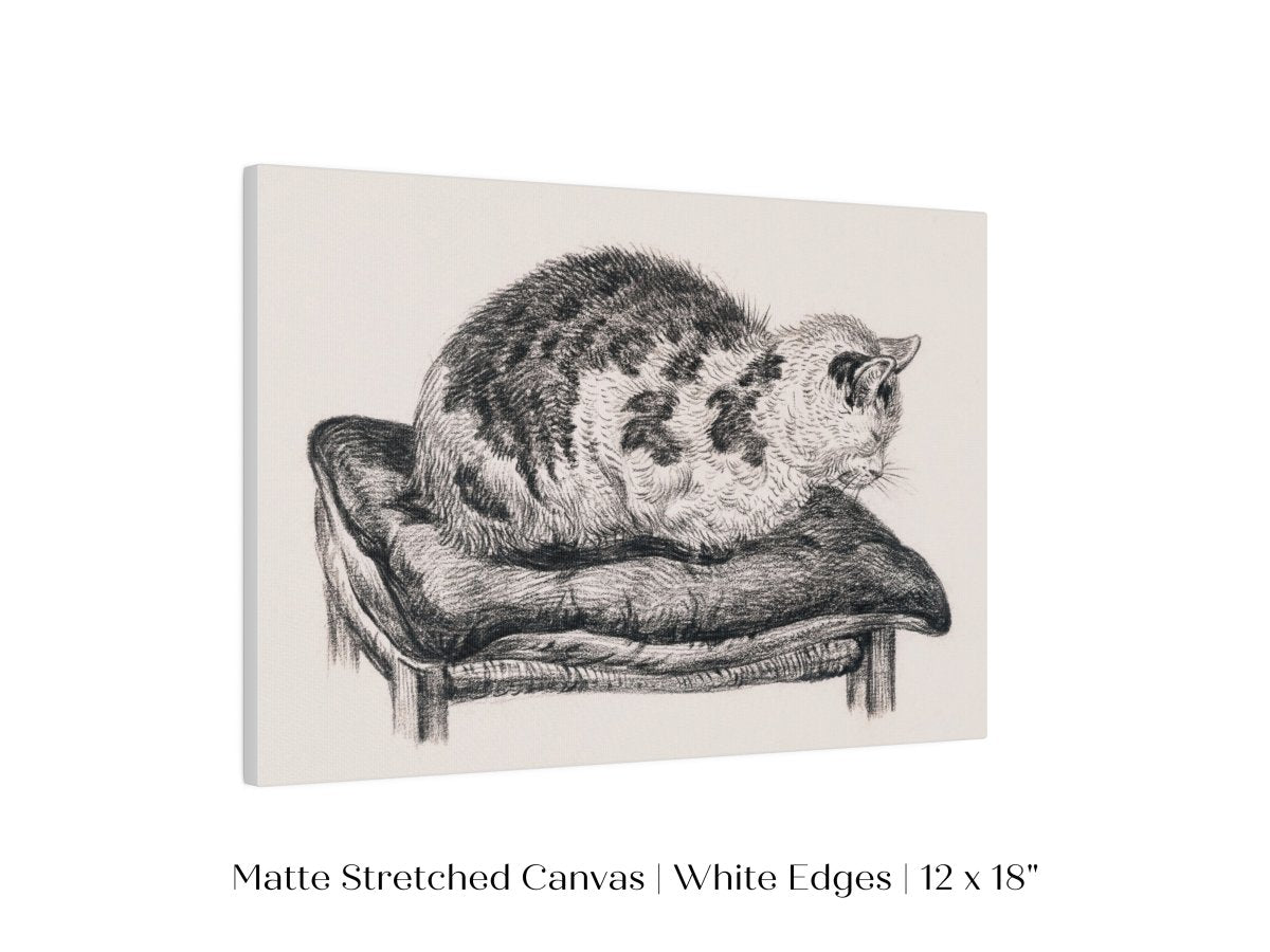 Lying Cat on a Pillow | P216 - Single Art Prints - Piccolo Fiore Prints
