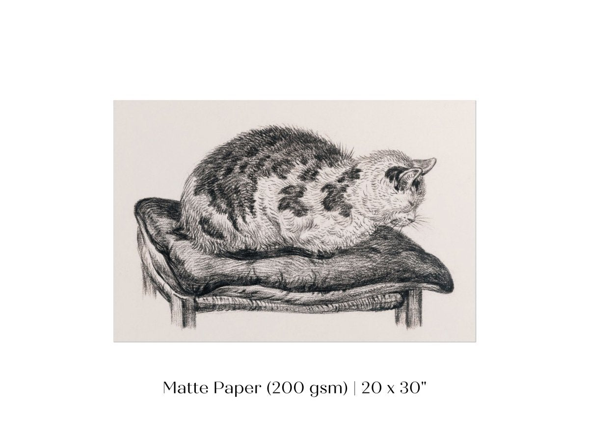 Lying Cat on a Pillow | P216 - Single Art Prints - Piccolo Fiore Prints