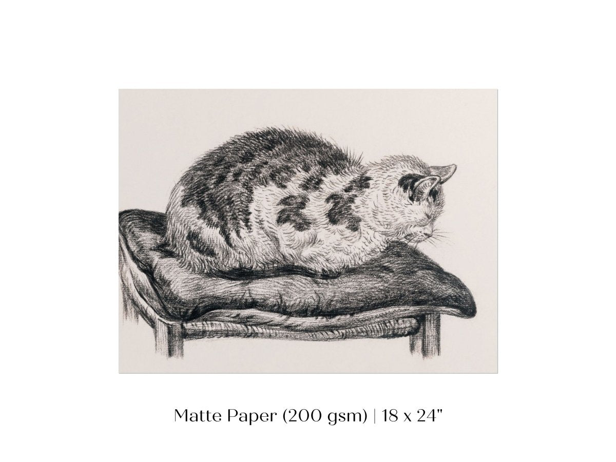 Lying Cat on a Pillow | P216 - Single Art Prints - Piccolo Fiore Prints