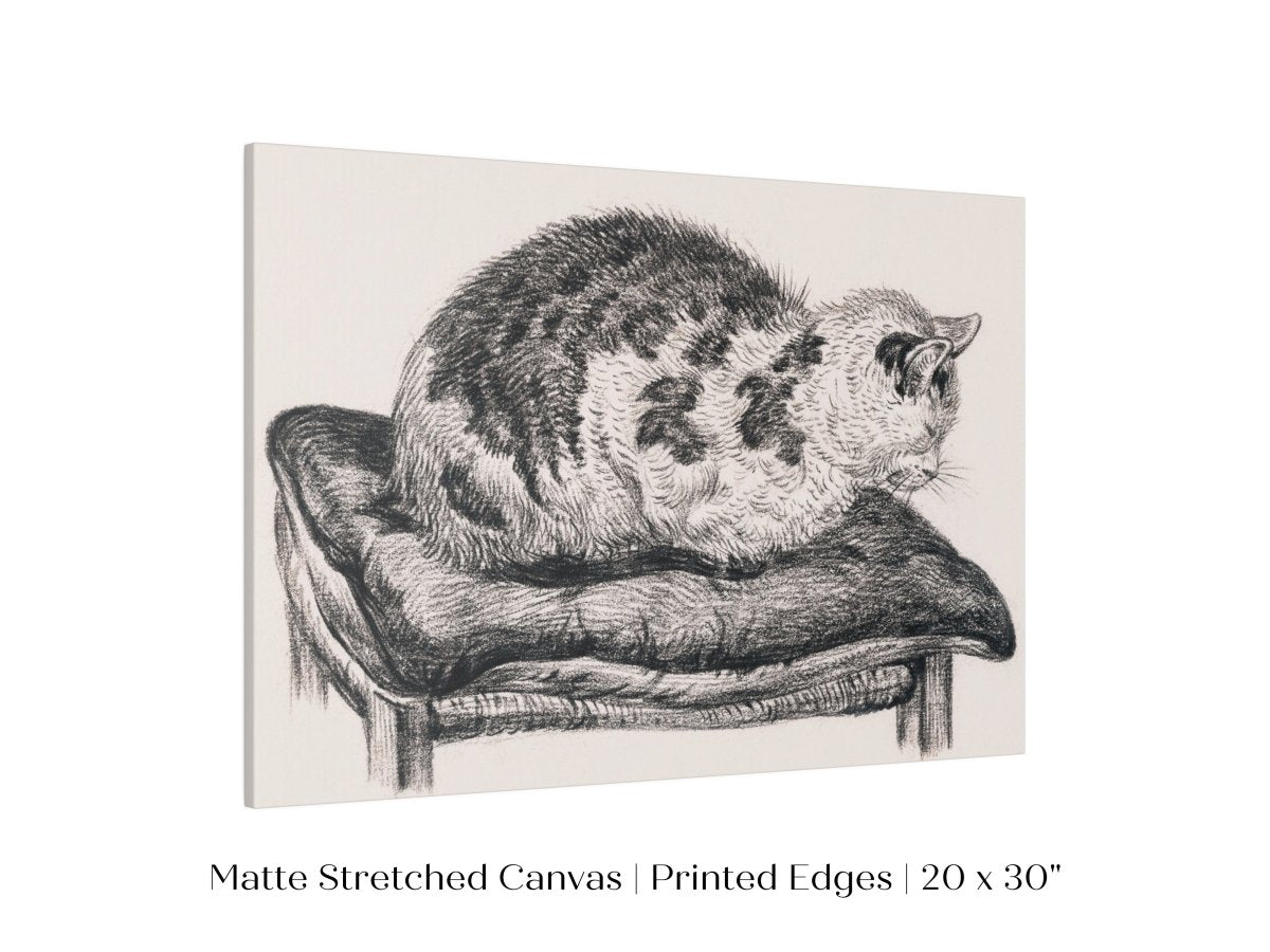 Lying Cat on a Pillow | P216 - Single Art Prints - Piccolo Fiore Prints