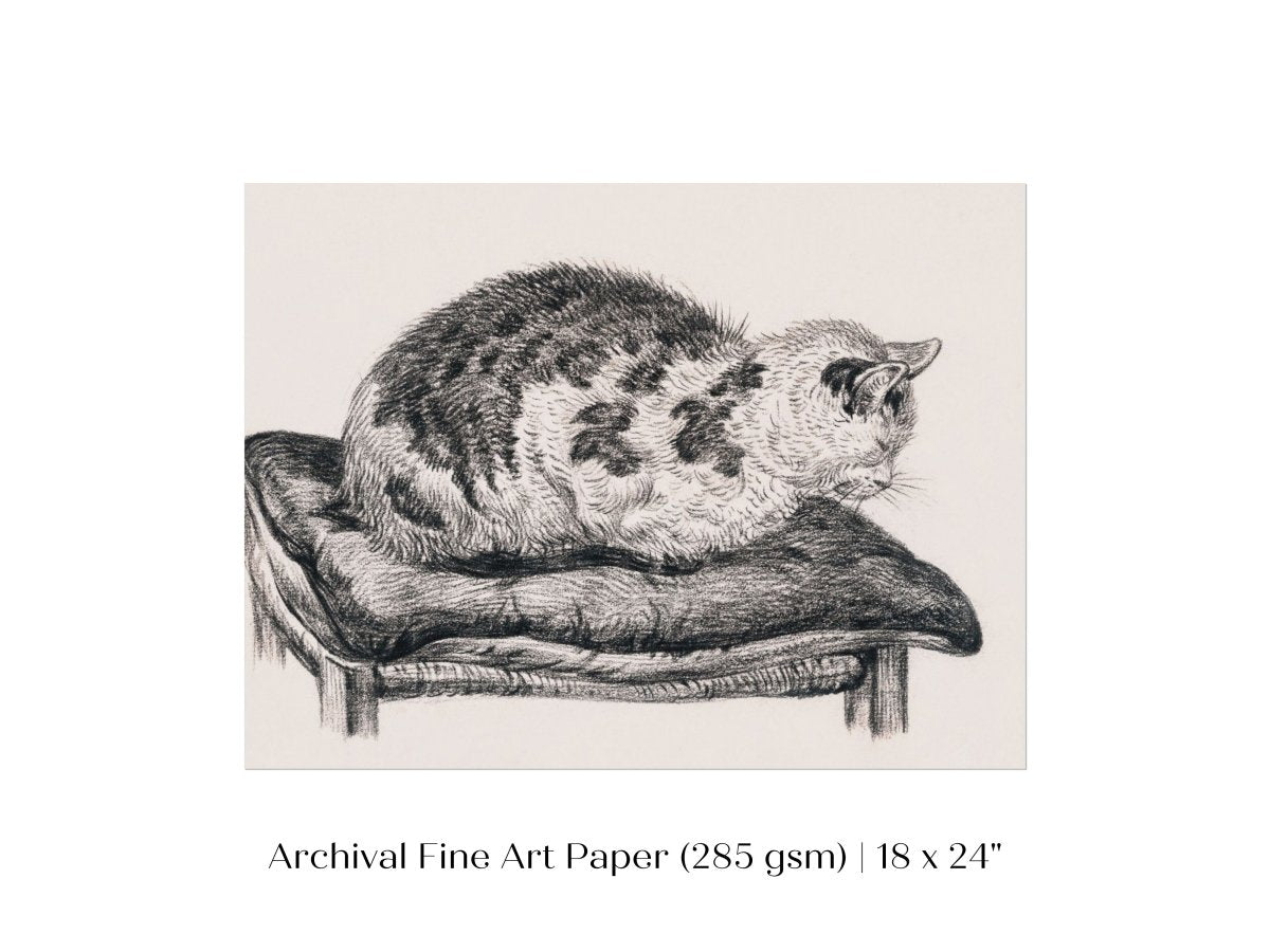 Lying Cat on a Pillow | P216 - Single Art Prints - Piccolo Fiore Prints