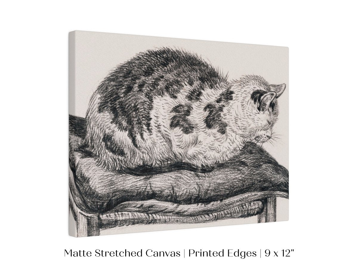 Lying Cat on a Pillow | P216 - Single Art Prints - Piccolo Fiore Prints