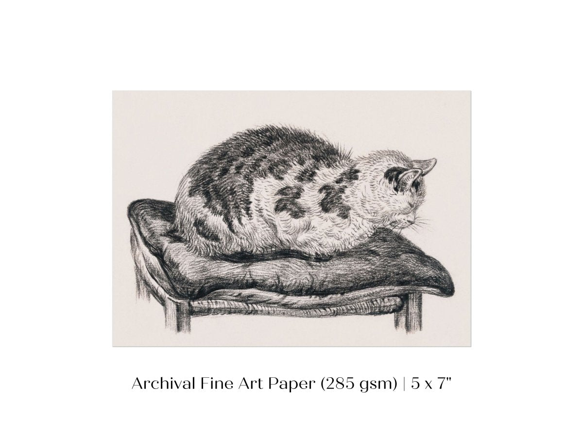 Lying Cat on a Pillow | P216 - Single Art Prints - Piccolo Fiore Prints