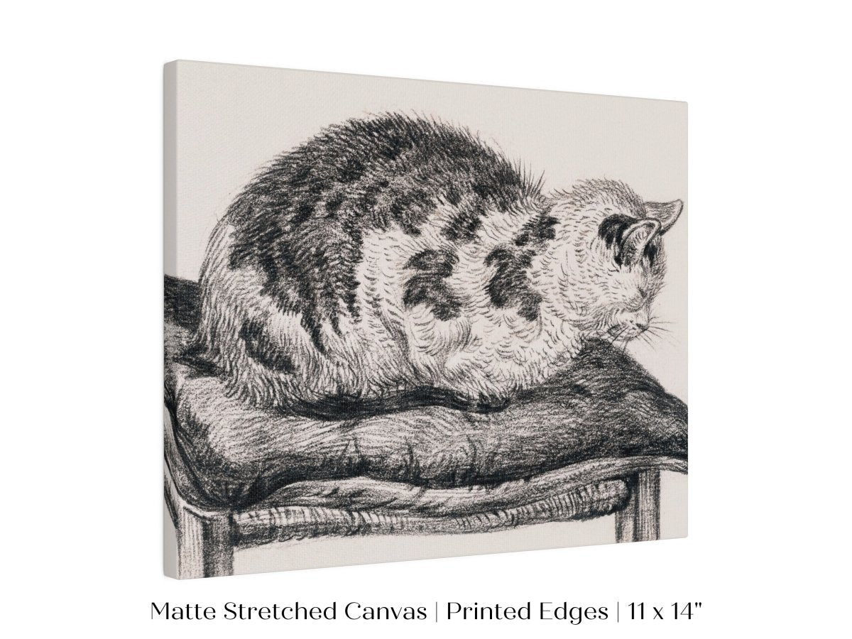 Lying Cat on a Pillow | P216 - Single Art Prints - Piccolo Fiore Prints
