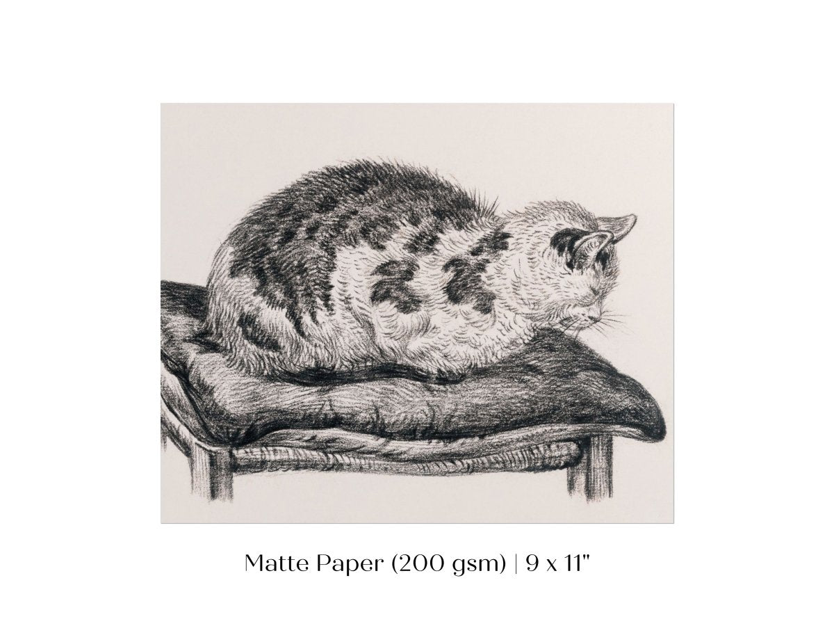 Lying Cat on a Pillow | P216 - Single Art Prints - Piccolo Fiore Prints