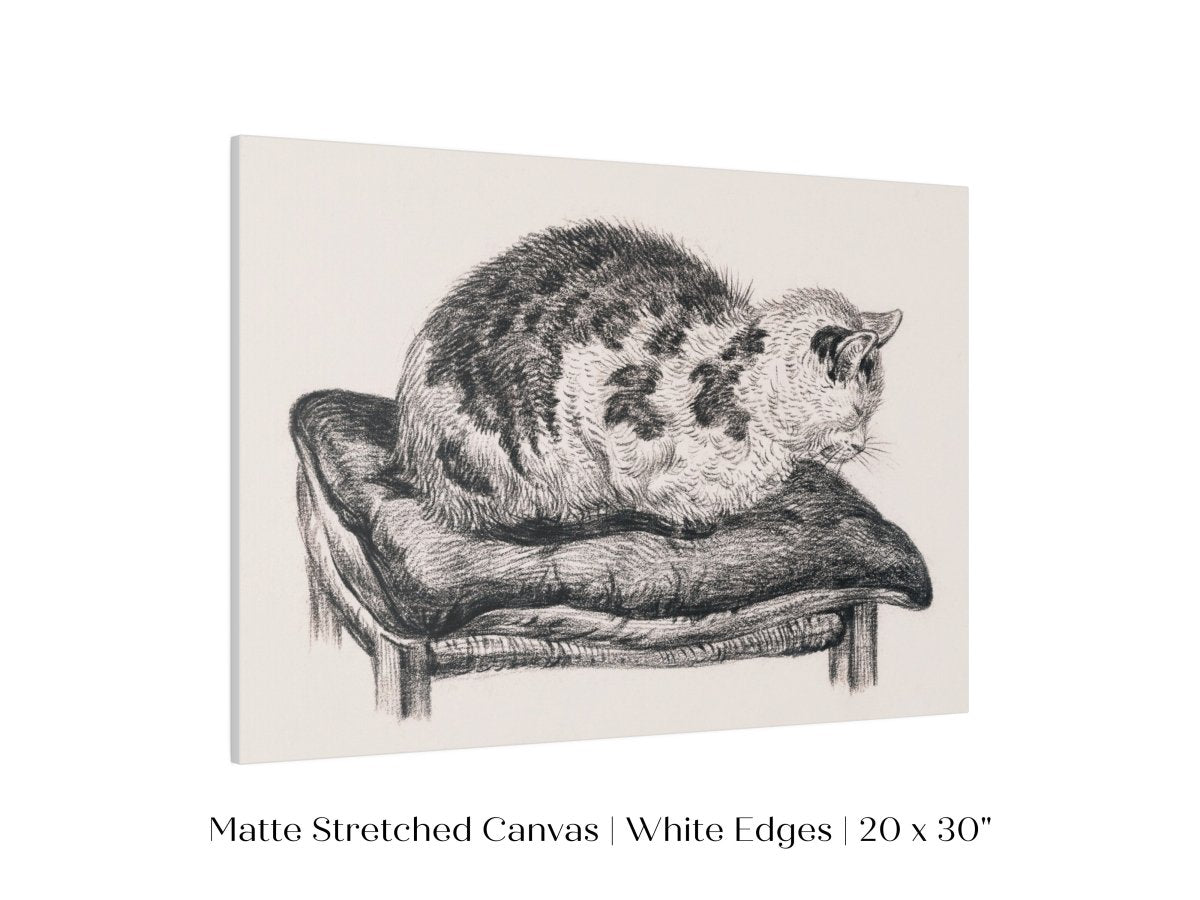 Lying Cat on a Pillow | P216 - Single Art Prints - Piccolo Fiore Prints