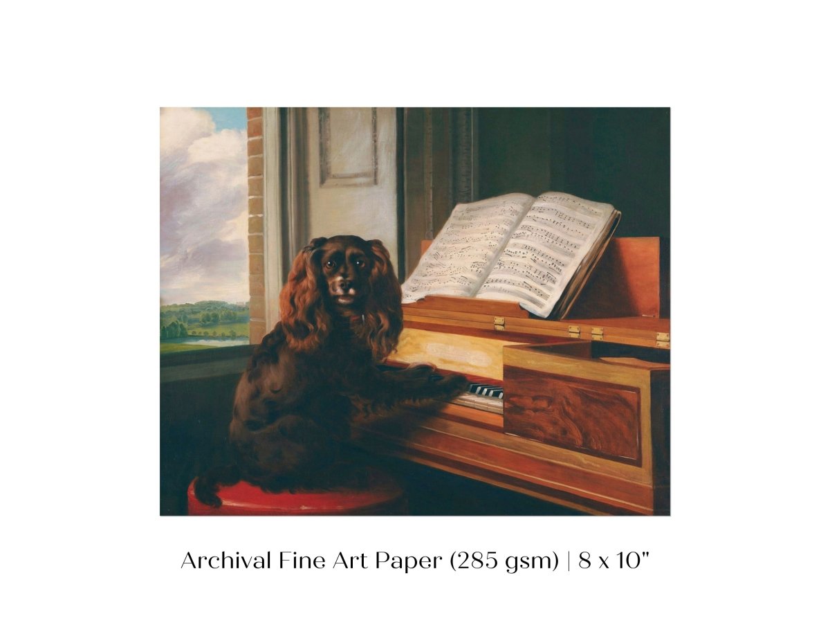 Musical Dog | P460 - Single Art Prints - Piccolo Fiore Prints
