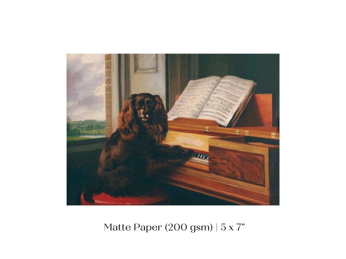 Musical Dog | P460 - Single Art Prints - Piccolo Fiore Prints