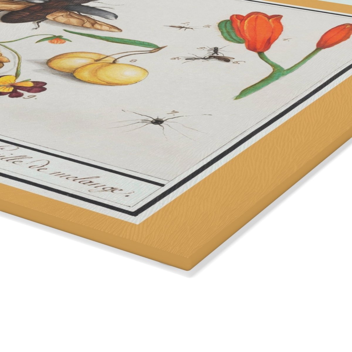 Natural History Ensemble No. 1 | Glass Chopping Board - Glass Chopping Board - Piccolo Fiore Prints