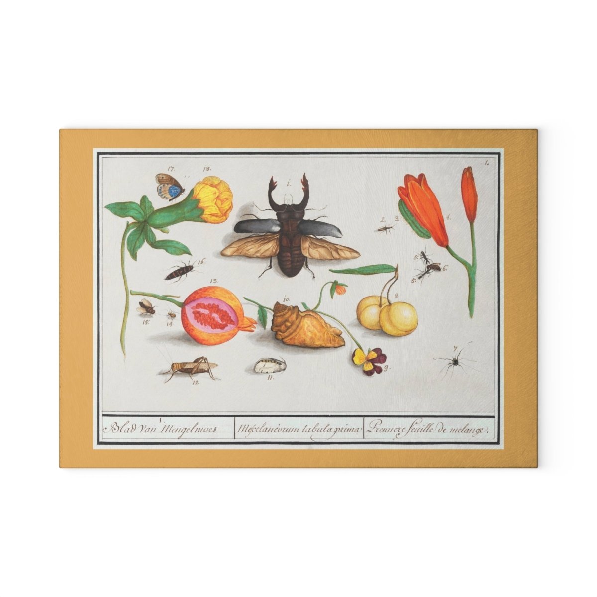 Natural History Ensemble No. 1 | Glass Chopping Board - Glass Chopping Board - Piccolo Fiore Prints