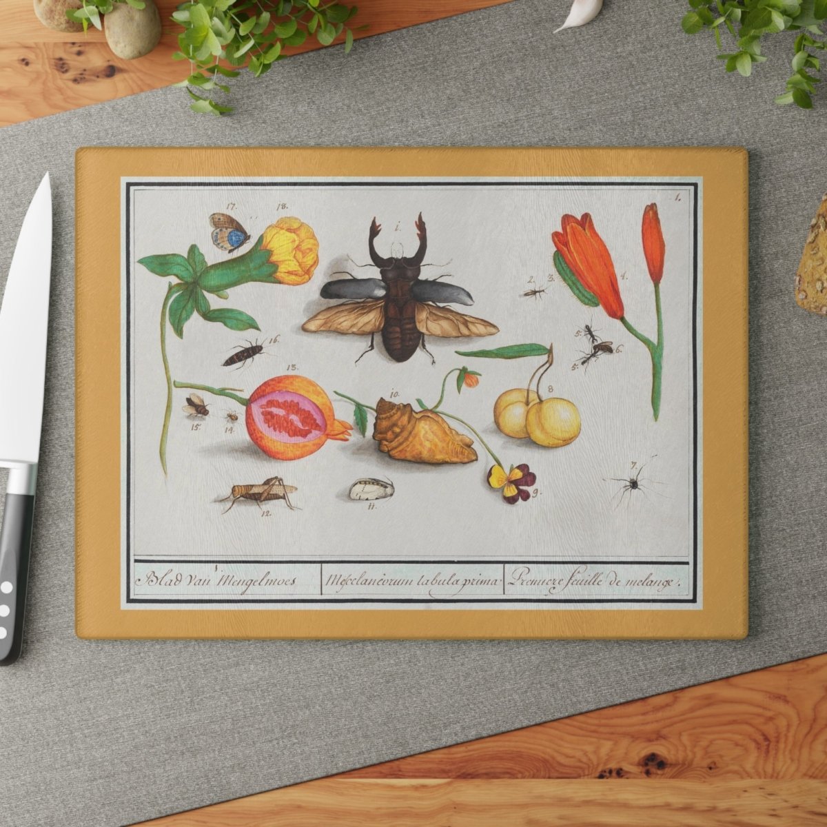 Natural History Ensemble No. 1 | Glass Chopping Board - Glass Chopping Board - Piccolo Fiore Prints