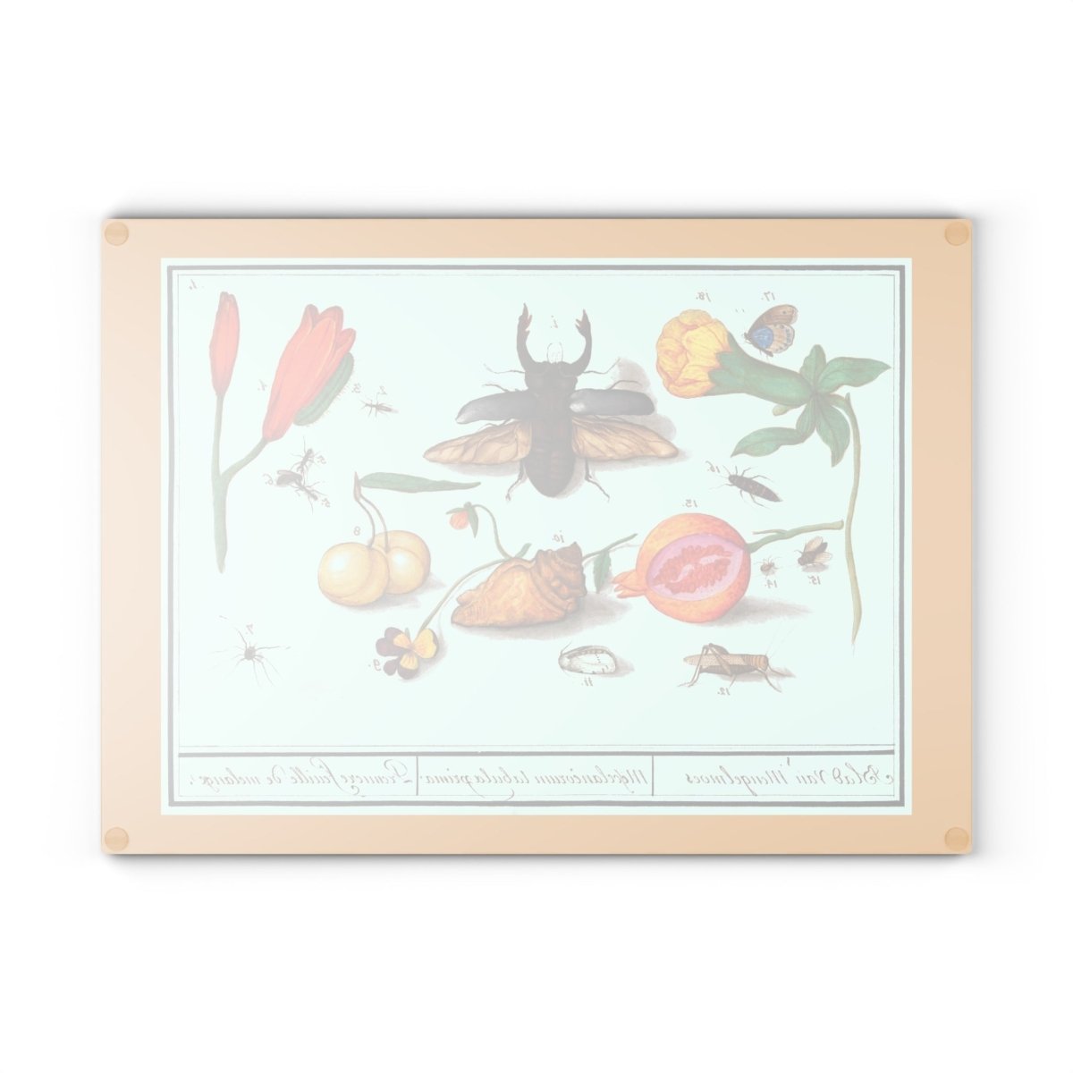 Natural History Ensemble No. 1 | Glass Chopping Board - Glass Chopping Board - Piccolo Fiore Prints