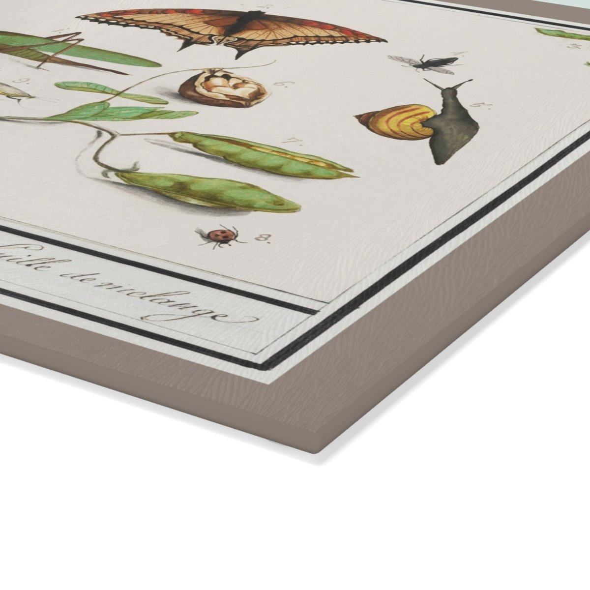 Natural History Ensemble No. 10 | Glass Chopping Board - Glass Chopping Board - Piccolo Fiore Prints