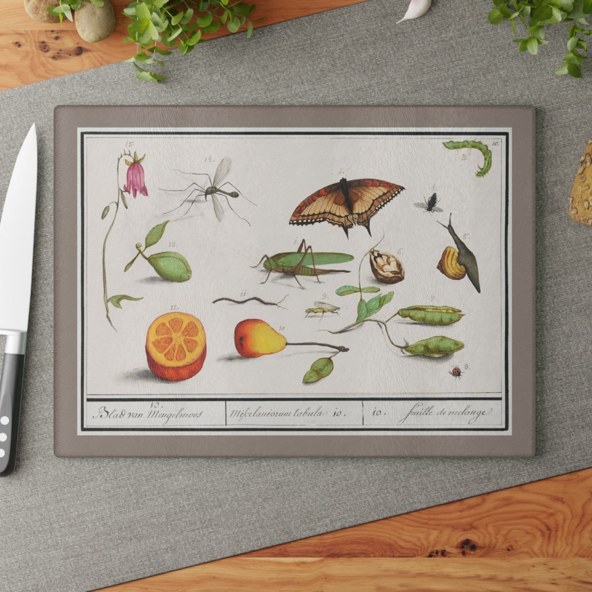 Natural History Ensemble No. 10 | Glass Chopping Board - Glass Chopping Board - Piccolo Fiore Prints