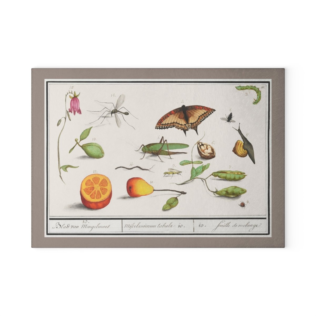 Natural History Ensemble No. 10 | Glass Chopping Board - Glass Chopping Board - Piccolo Fiore Prints