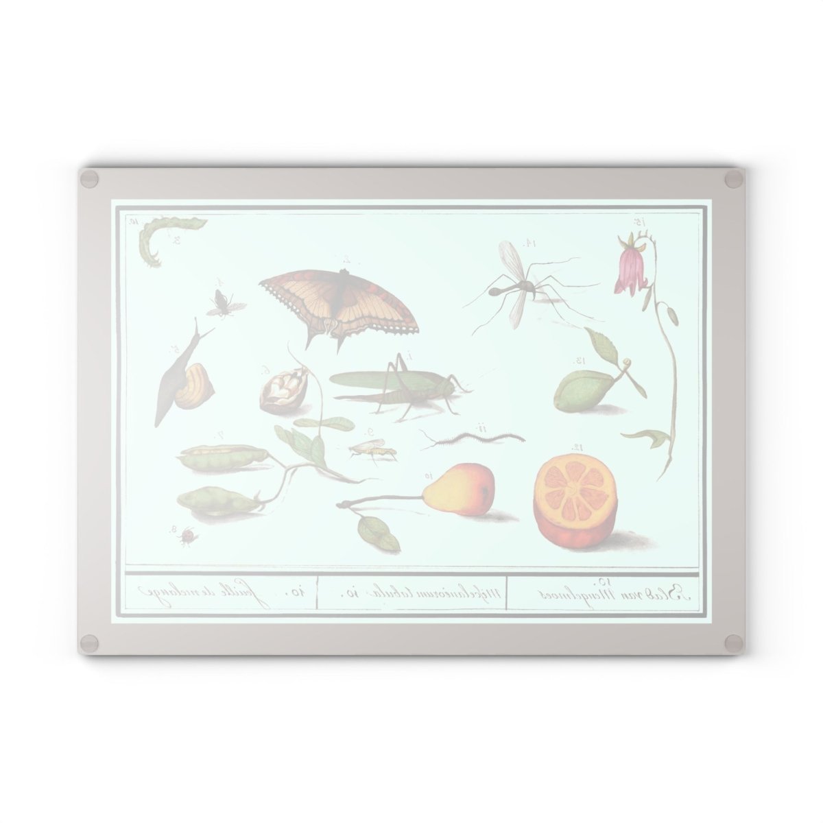 Natural History Ensemble No. 10 | Glass Chopping Board - Glass Chopping Board - Piccolo Fiore Prints