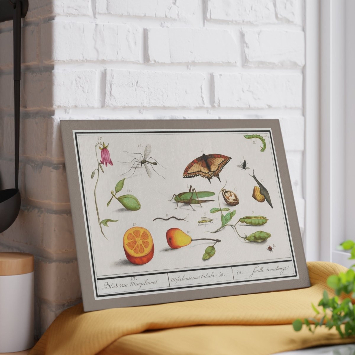 Natural History Ensemble No. 10 | Glass Chopping Board - Glass Chopping Board - Piccolo Fiore Prints