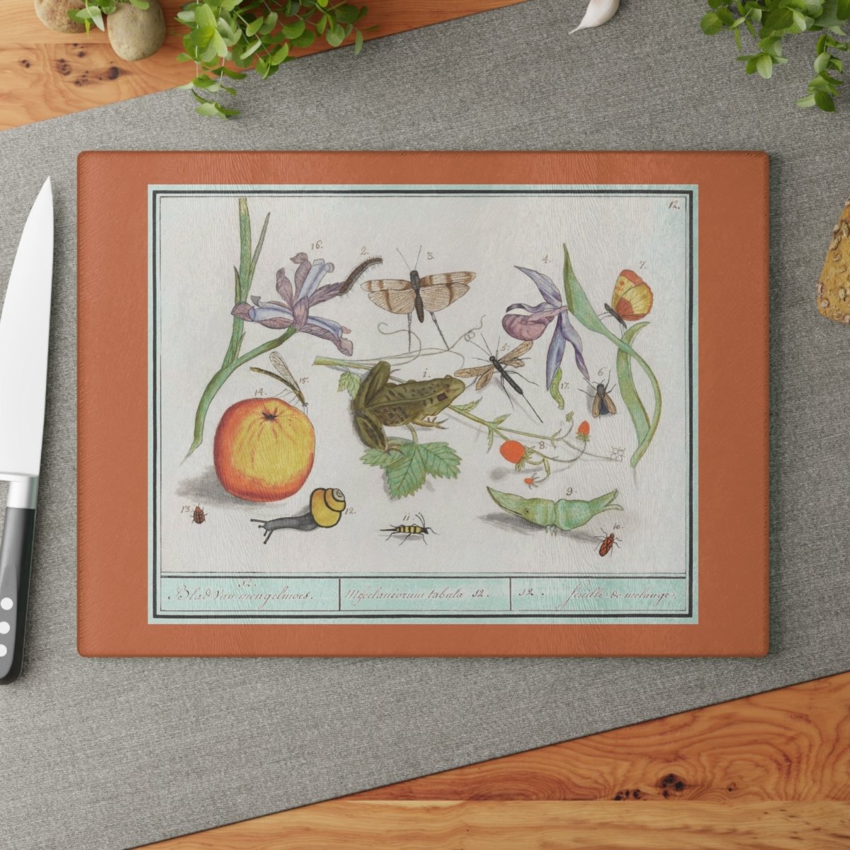 Natural History Ensemble No. 12 | Glass Chopping Board - Glass Chopping Board - Piccolo Fiore Prints