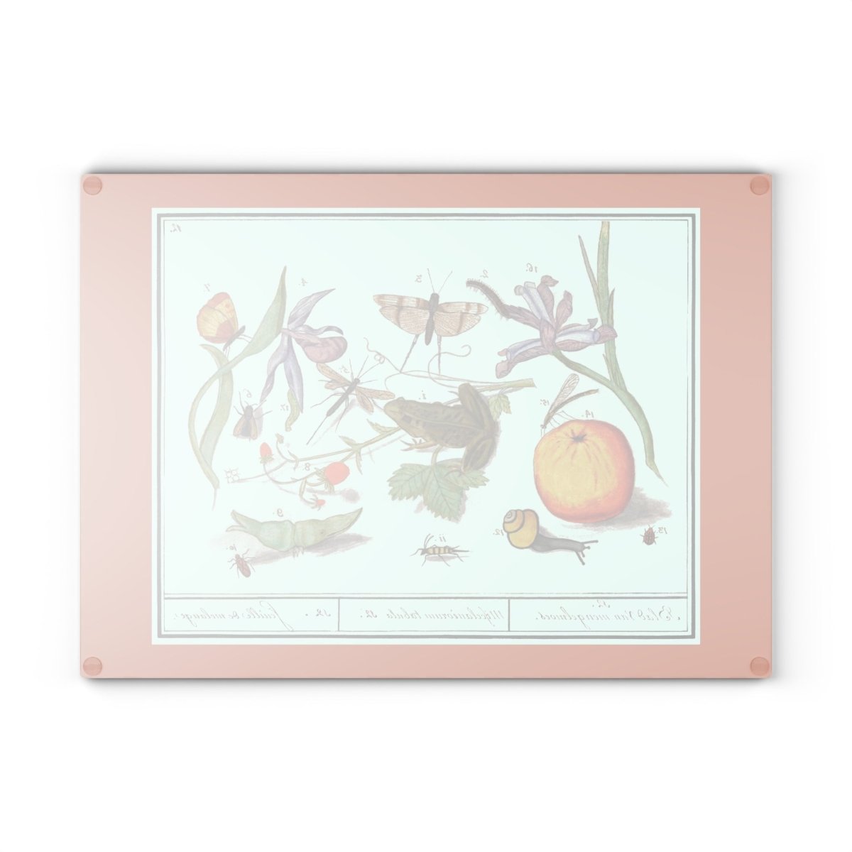 Natural History Ensemble No. 12 | Glass Chopping Board - Glass Chopping Board - Piccolo Fiore Prints