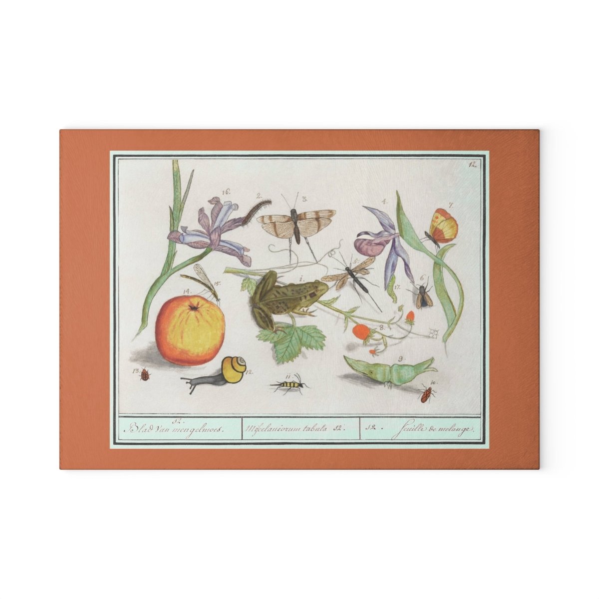 Natural History Ensemble No. 12 | Glass Chopping Board - Glass Chopping Board - Piccolo Fiore Prints