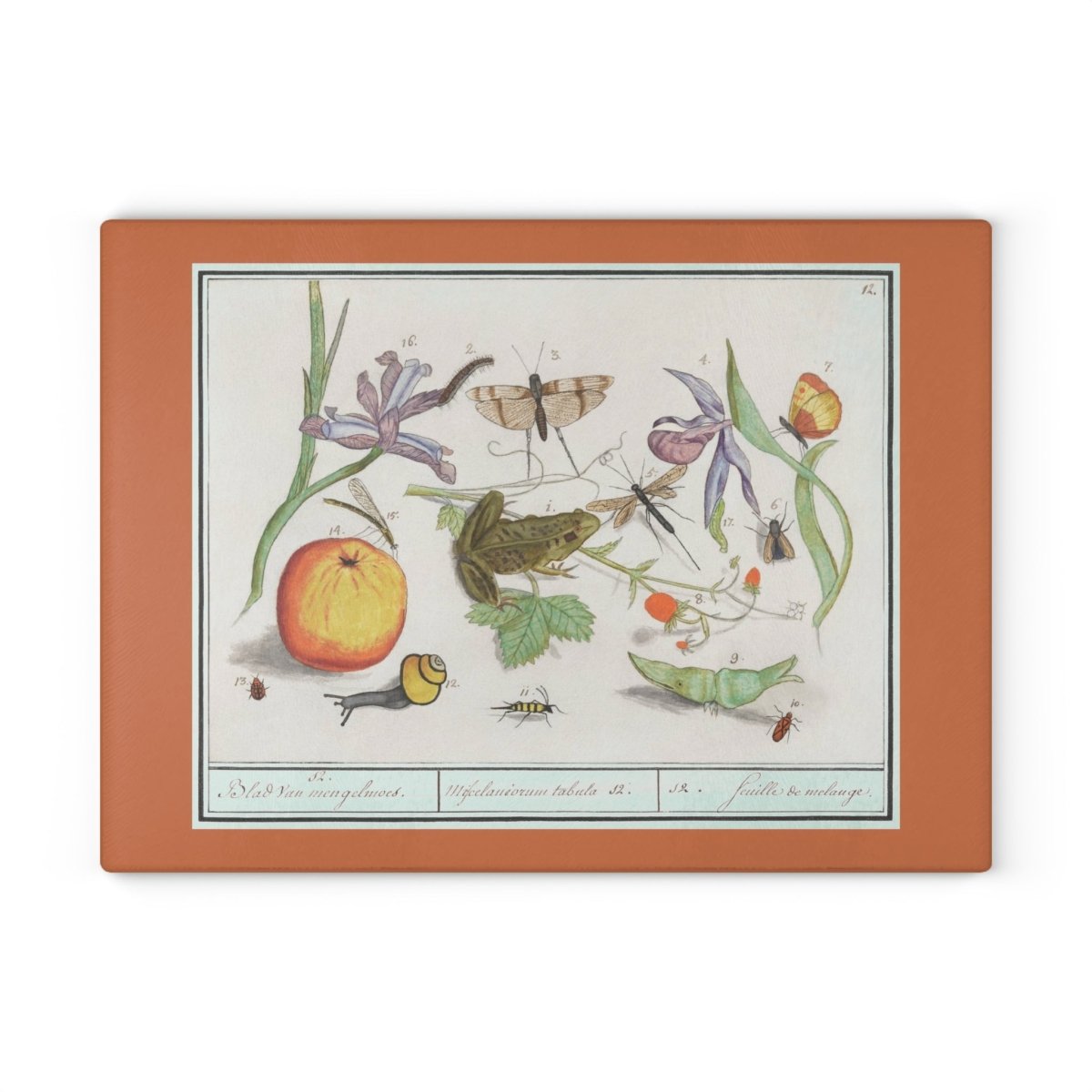 Natural History Ensemble No. 12 | Glass Chopping Board - Glass Chopping Board - Piccolo Fiore Prints