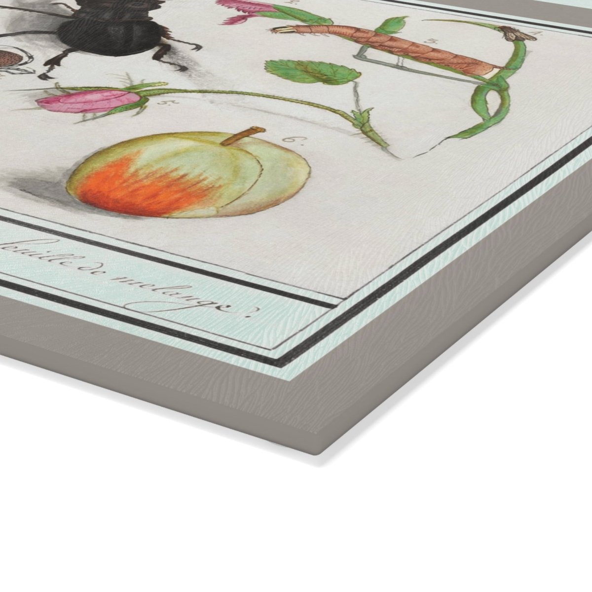 Natural History Ensemble No. 13 | Glass Chopping Board - Glass Chopping Board - Piccolo Fiore Prints
