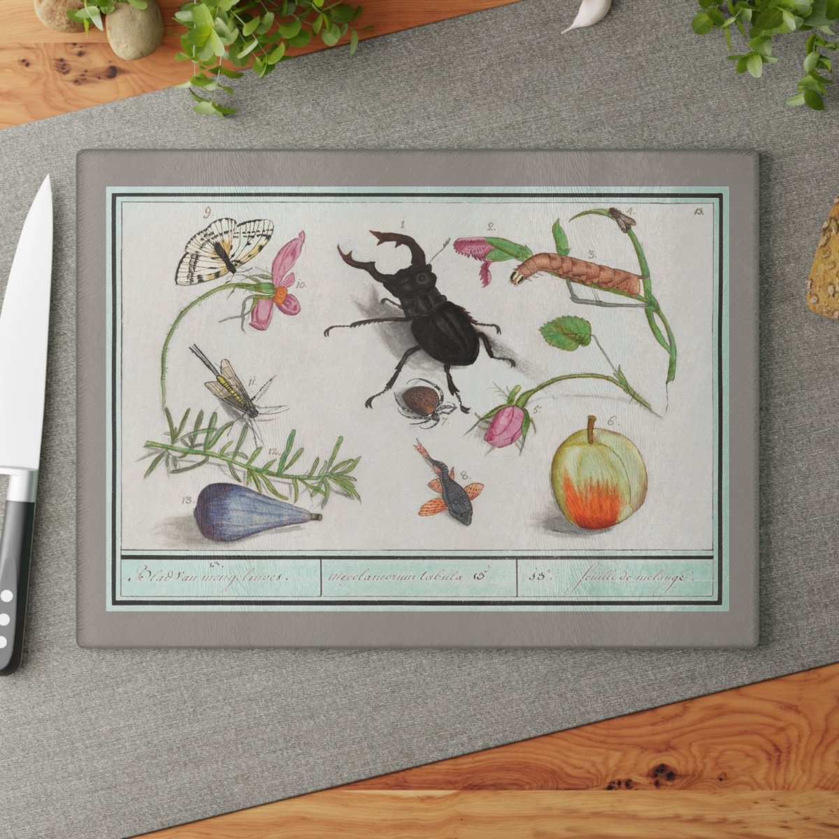 Natural History Ensemble No. 13 | Glass Chopping Board - Glass Chopping Board - Piccolo Fiore Prints