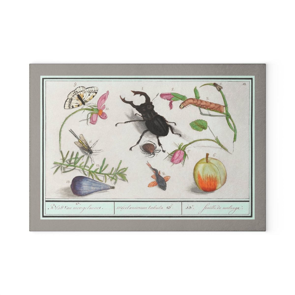 Natural History Ensemble No. 13 | Glass Chopping Board - Glass Chopping Board - Piccolo Fiore Prints