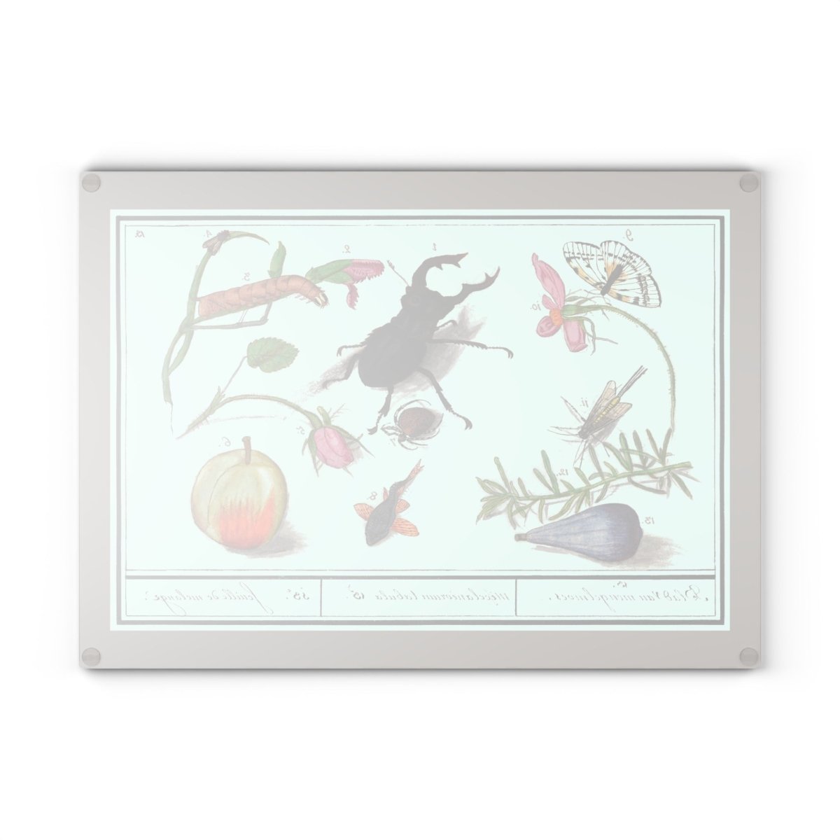 Natural History Ensemble No. 13 | Glass Chopping Board - Glass Chopping Board - Piccolo Fiore Prints