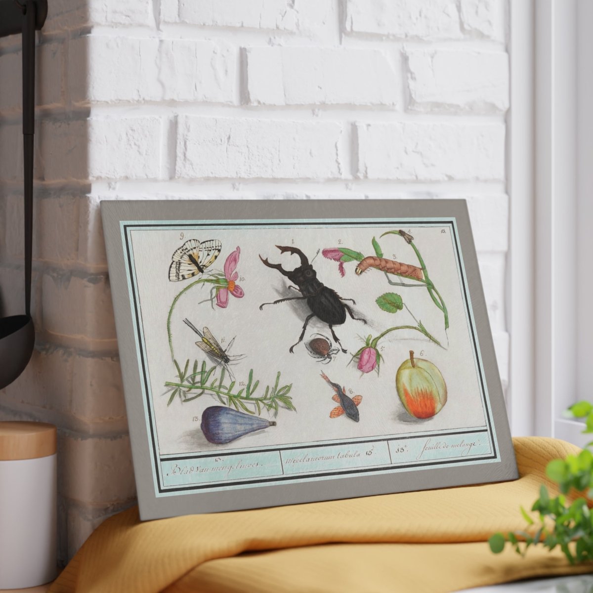 Natural History Ensemble No. 13 | Glass Chopping Board - Glass Chopping Board - Piccolo Fiore Prints